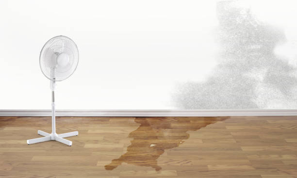 Best Flood restoration services  in Dixon Lane Meadow Creek, CA