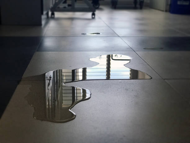 Best 24/7 water damage repair  in Dixon Lane Meadow Creek, CA