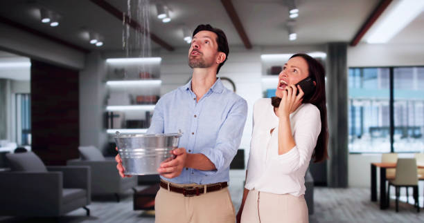 Best Carpet water damage restoration  in Dixon Lane Meadow Creek, CA