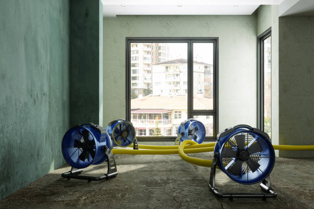 Best Water damage restoration process  in Dixon Lane Meadow Creek, CA