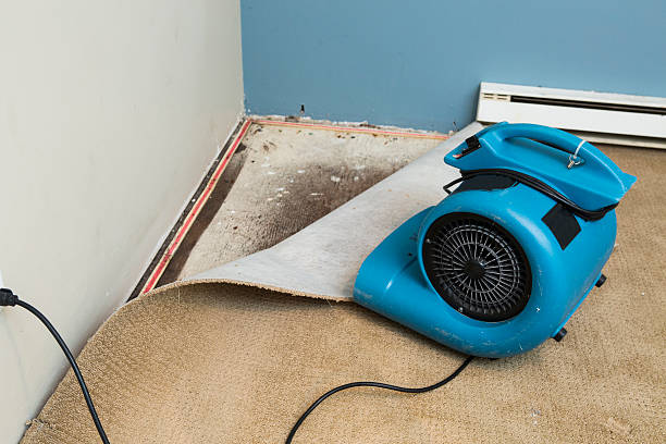 Best Fire Damage Restoration  in Dixon Lane Meadow Creek, CA