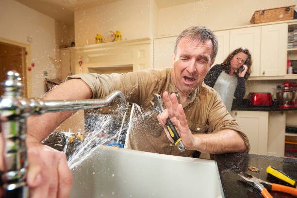 Best Water damage mitigation services  in Dixon Lane Meadow Creek, CA